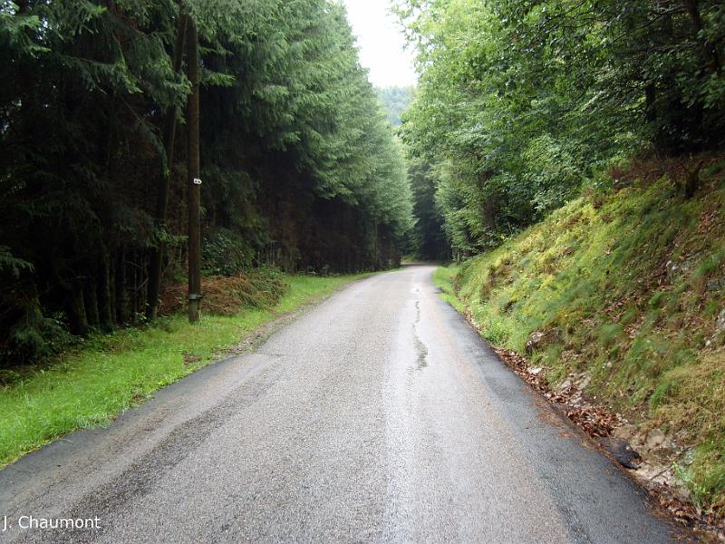 Route de Saint-Romary, en montant dans le massif de Fossard.JPG